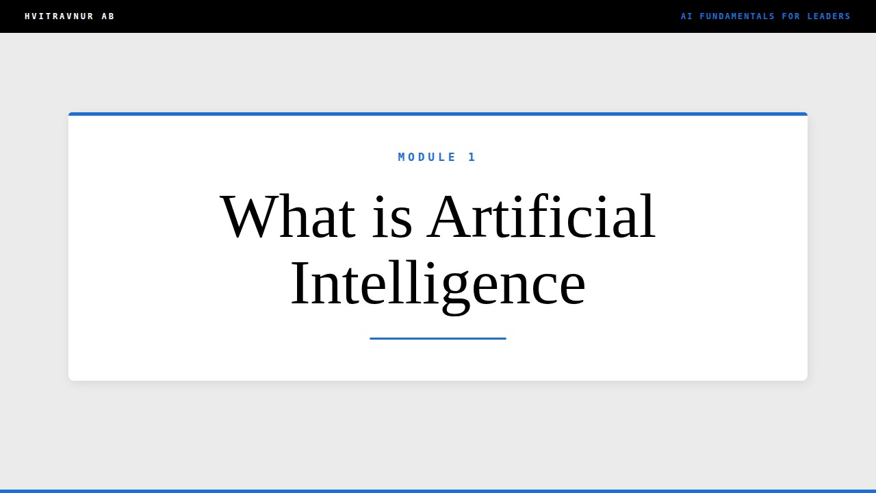 What is Artificial Intelligence?