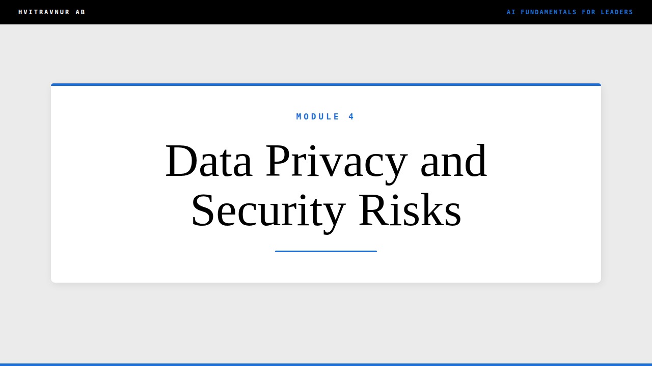 Data Privacy and Security Risks