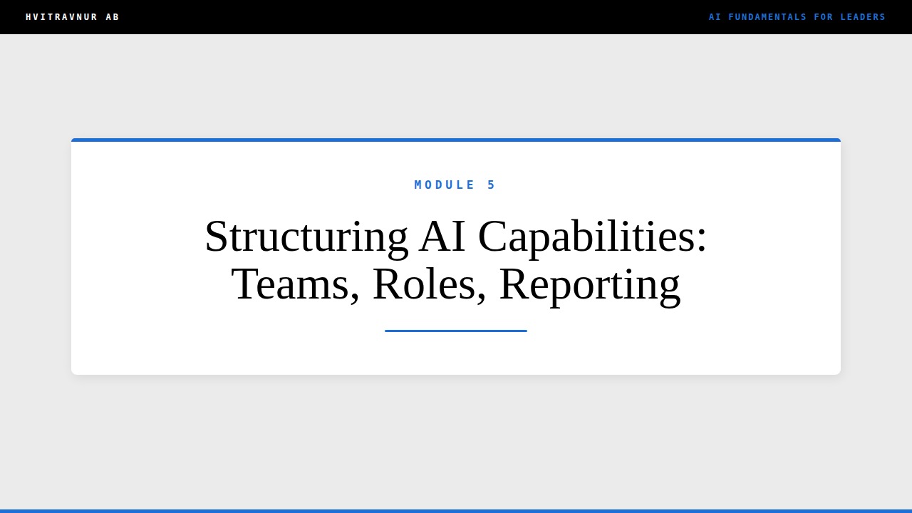 Structuring AI Capabilities: Teams, Roles, Reporting